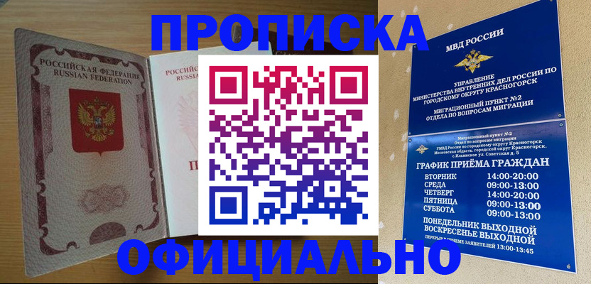 временная регистрация купить в Димитровграде